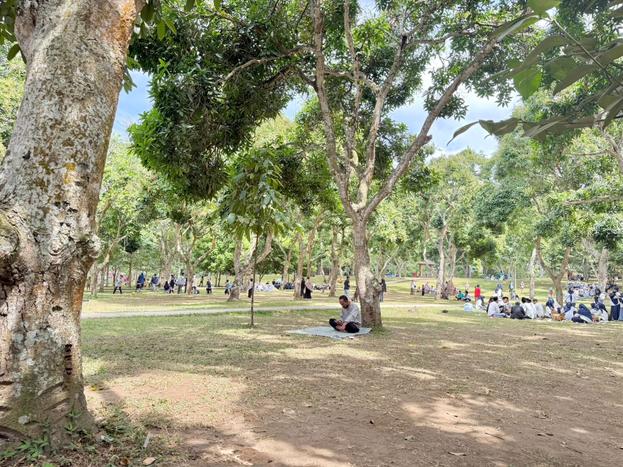 Galeri